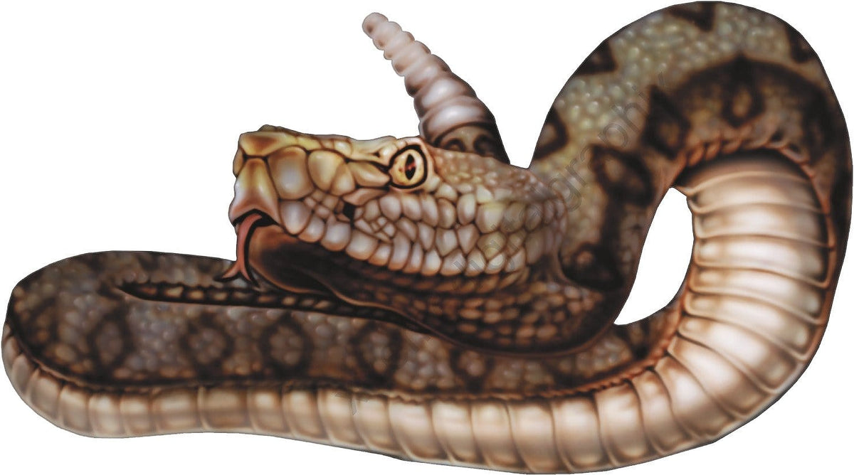 rattlesnake vinyl graphics for truck